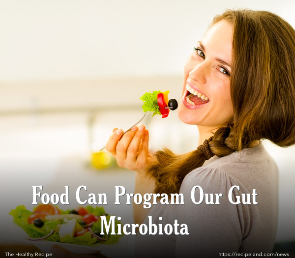 Food Can Program Our Gut Microbiota